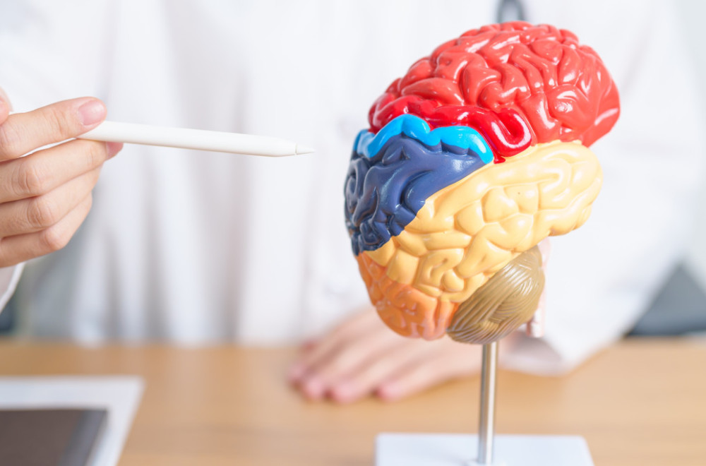 Ovo je najopasnija kombinacija hrane za mozak: Naučnici apeluju