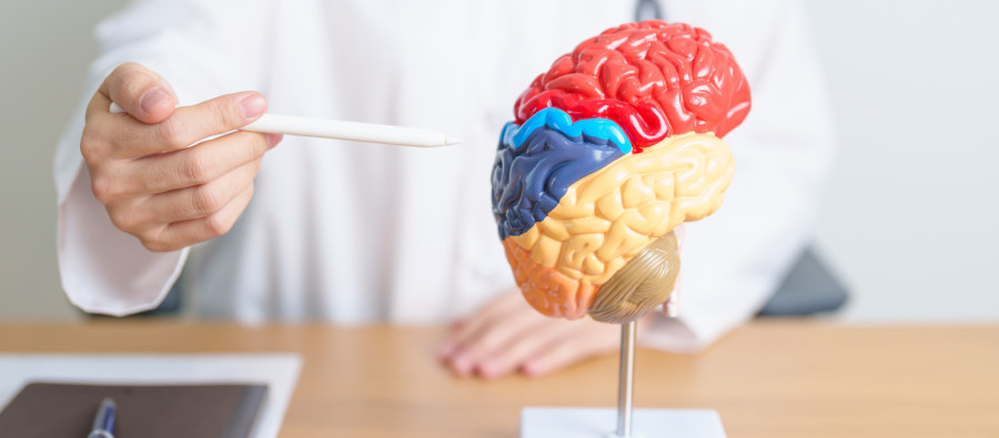 Zašto se žene brže napiju: Nije sve tako jednostavno