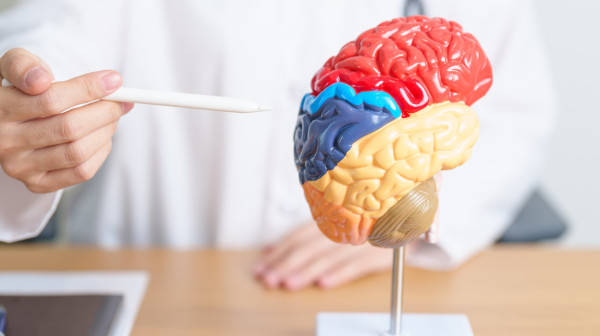 Ovo je najopasnija kombinacija hrane za mozak: Naučnici apeluju