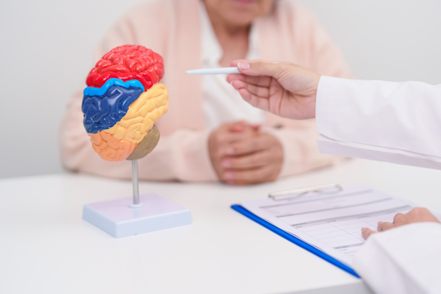 Novo otkriće o mozgu: Nije više kao što se mislilo do sada