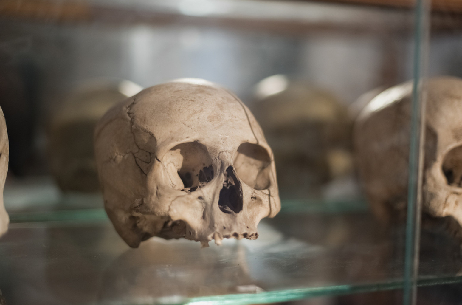 Rešena misterija vitrine sa ljudskim kostima starim više od hiljadu godina FOTO