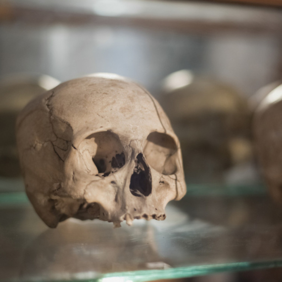 Rešena misterija vitrine sa ljudskim kostima starim više od hiljadu godina FOTO