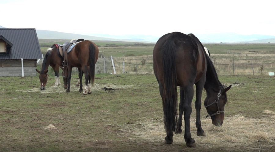 Između vetrova i snega – etno-turizam na Pešteru FOTO/VIDEO