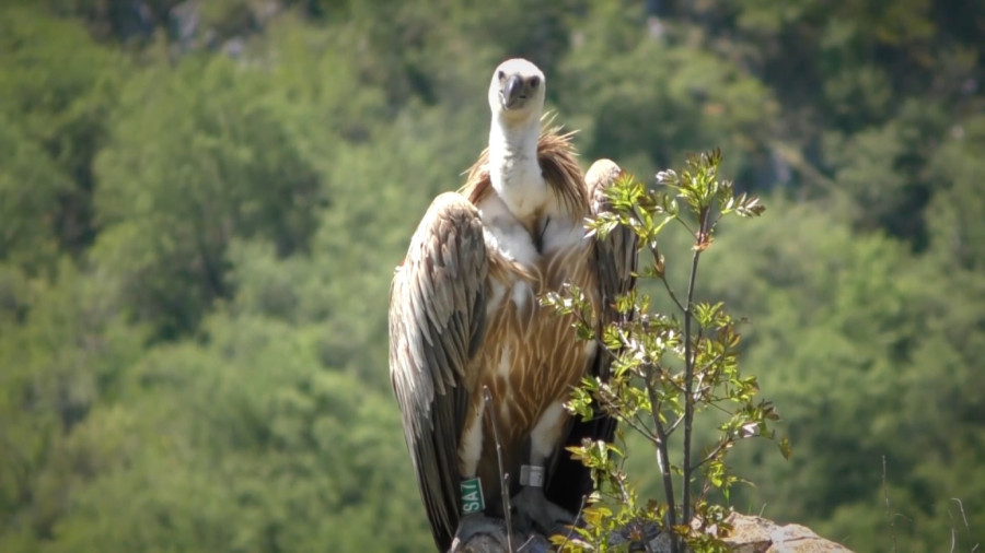 Između vetrova i snega – etno-turizam na Pešteru FOTO/VIDEO