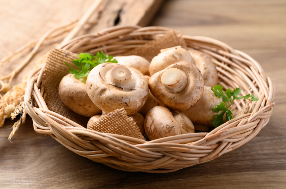 Pečurke mogu da vam poboljšaju celokupno zdravlje: Evo na šta sve utiču