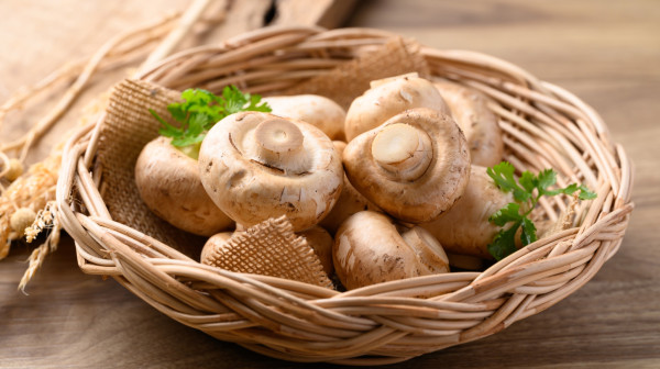 Pečurke mogu da vam poboljšaju celokupno zdravlje: Evo na šta sve utiču