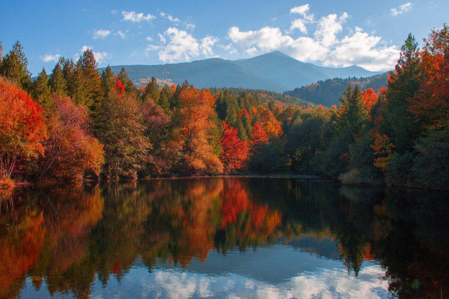 Izbegnite gužve na granicama: Za ove destinacije van Srbije vam pasoš ne treba i nema uzimanja podataka FOTO