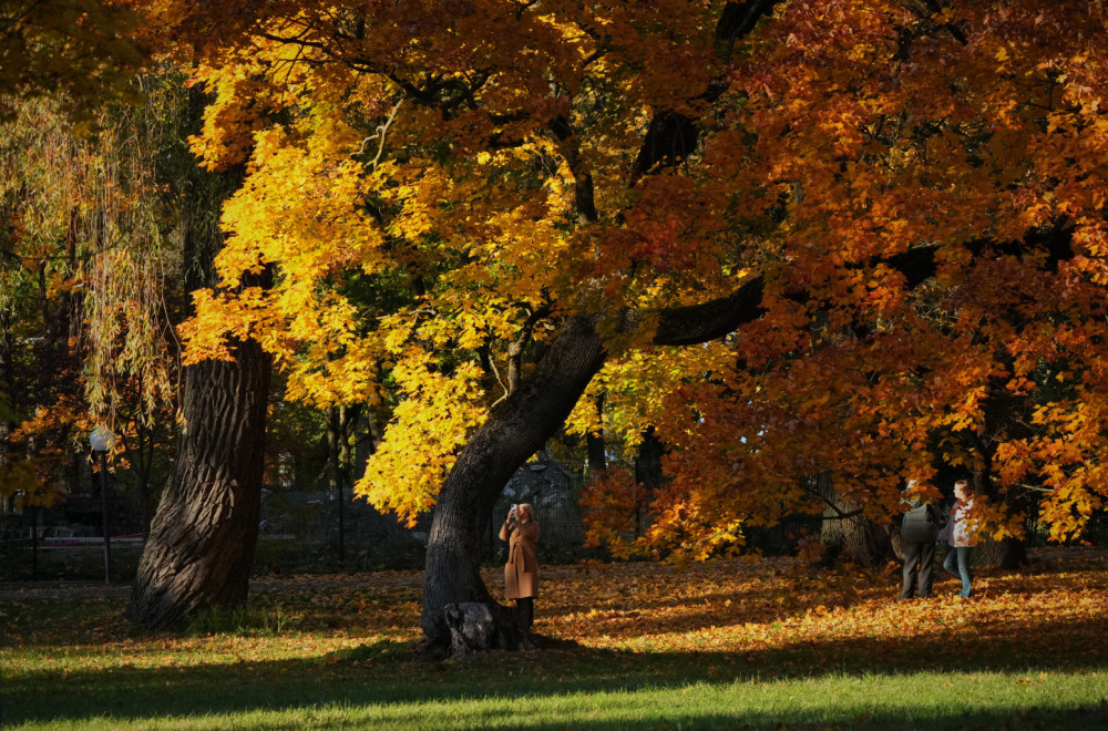 Ovakvu vremensku prognozu niko nije očekivao u novembru