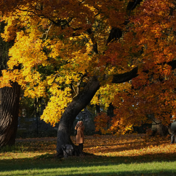 Ovakvu vremensku prognozu niko nije očekivao u novembru