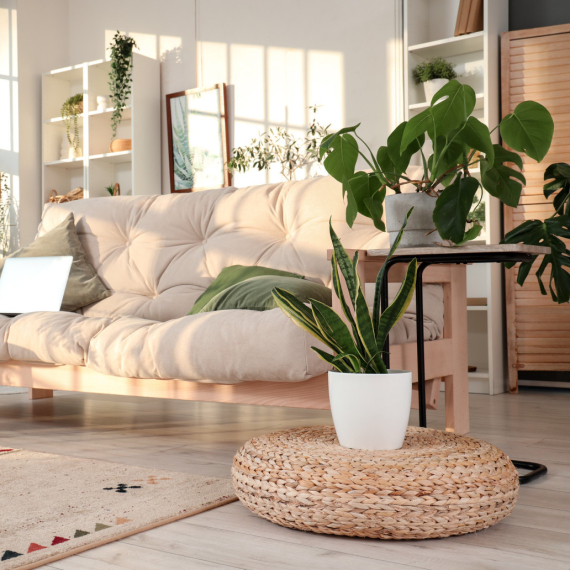 Kraljice izdržljivosti: Spisak biljaka koje uspevaju i ako zaboravite na njih