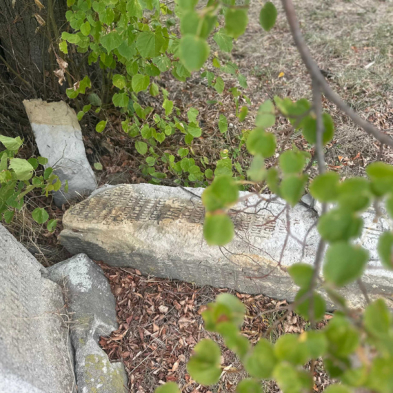 Tužna slika iz čačanskog sela Lipnica: Urušen spomenik krajputaš