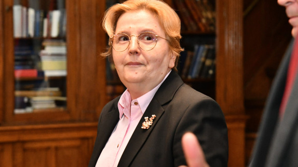 Izborni inžinjering Zagorke Dolovac; Podobni puleni i spletke