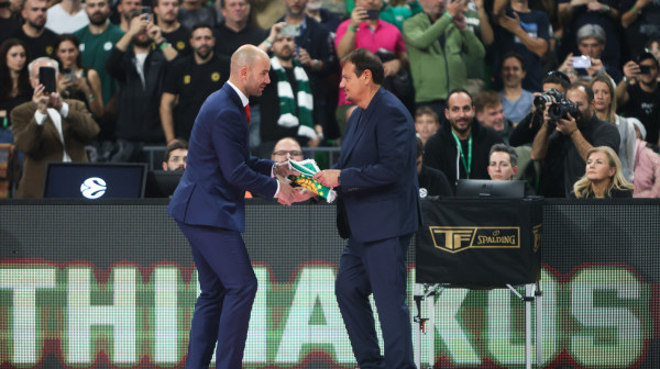 Nedović zablistao – PAO na kolenima pred Zvezdu, sudija sumo zahvatom oborio igrača!