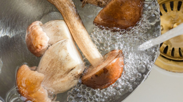 Ovo su namirnice koje nikako ne treba prati pre korišćenja: Više štete nego koristi