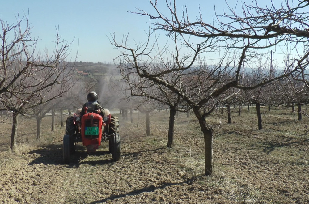 Voćari trpe velike gubitke