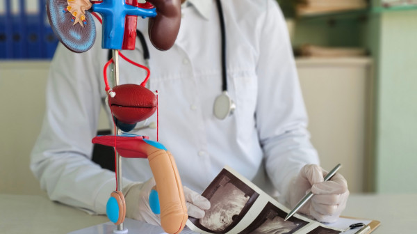 Podli karcinom napada sportiste: Dovoljan je samo jedan samopregled testisa za spas VIDEO