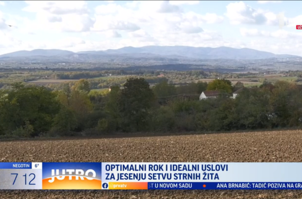 Idealni uslovi za jesenju setvu strnih žita u Šumadiji VIDEO