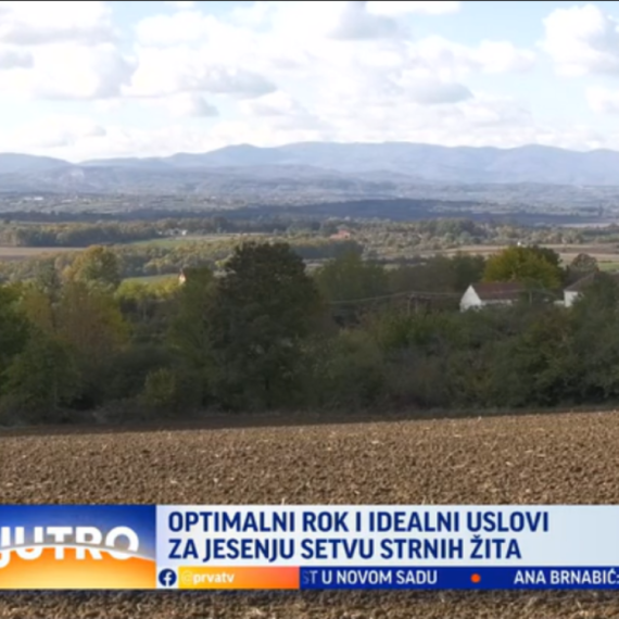 Idealni uslovi za jesenju setvu strnih žita u Šumadiji VIDEO