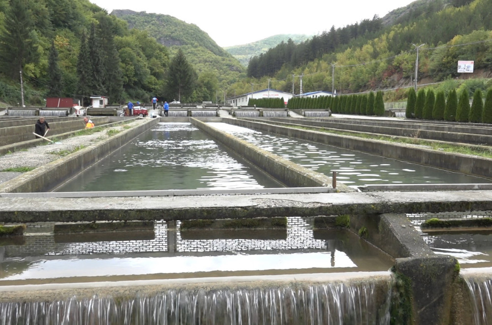 Nekadašnji gigant ponovo radi: Ovo je najveći ribnjak kalifornijske pastrmke u Evropi FOTO