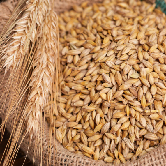 Ova jeftina, a moćna žitarica čuva srce i probavu: Evo za šta je sve dobra