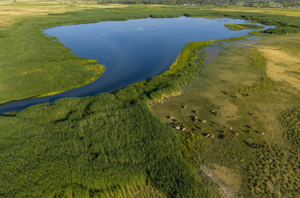 Ako ne padne kiša, moraćemo da evakuišemo grad; Predsednik upozorio: Zemlja na ivici katastrofe FOTO/VIDEO