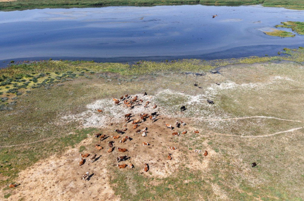 Ako ne padne kiša, moraćemo da evakuišemo grad; Predsednik upozorio: Zemlja na ivici katastrofe FOTO/VIDEO