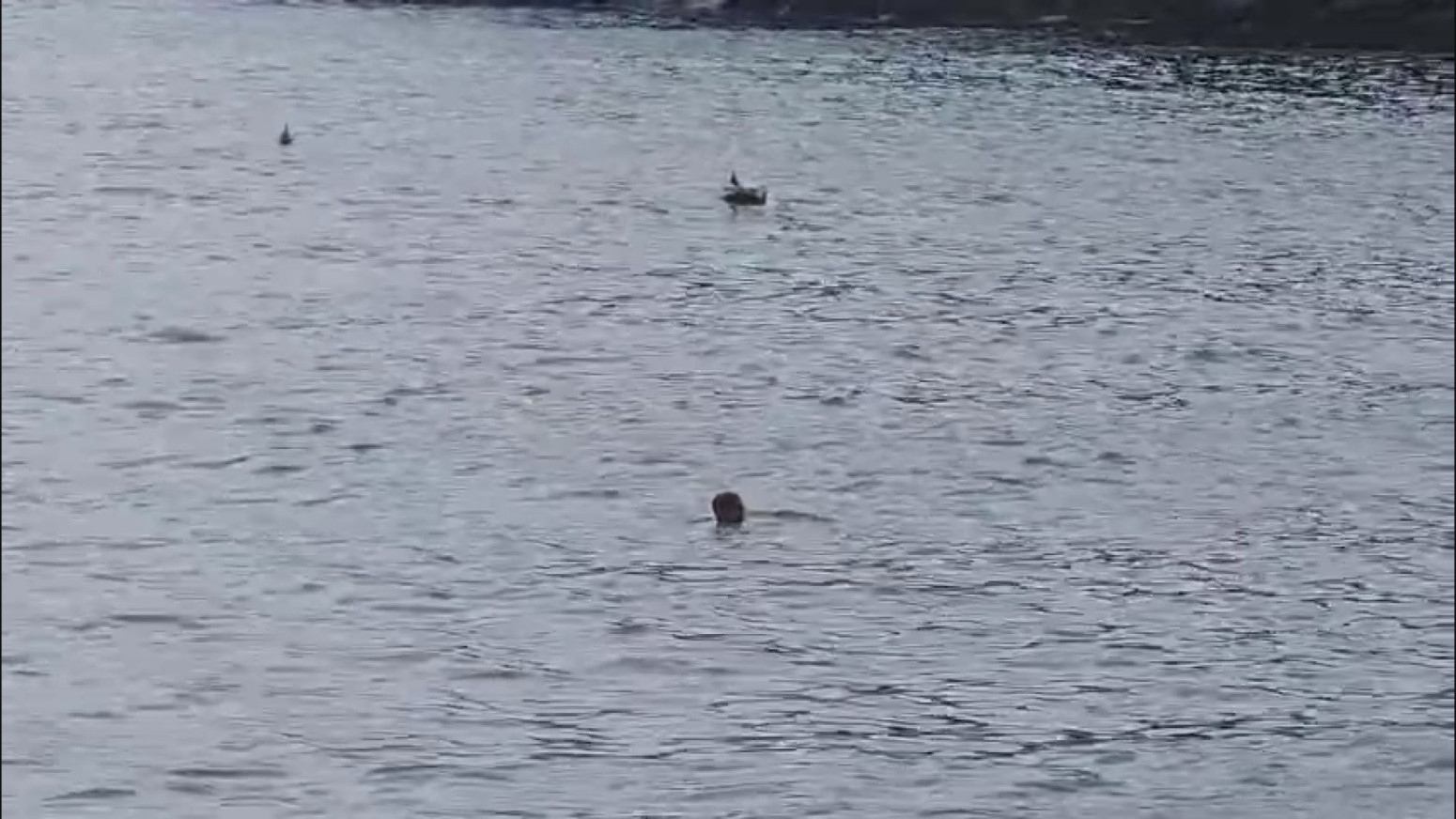 Kupaju se u moru iako je novembar: Primorski grad pun turista iz Srbije FOTO