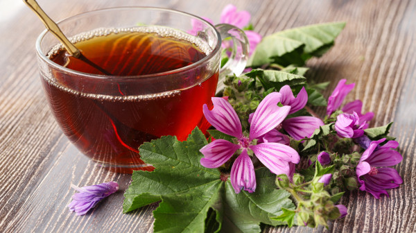 Moćna biljka raste širom Srbije: Evo za šta je sve dobra