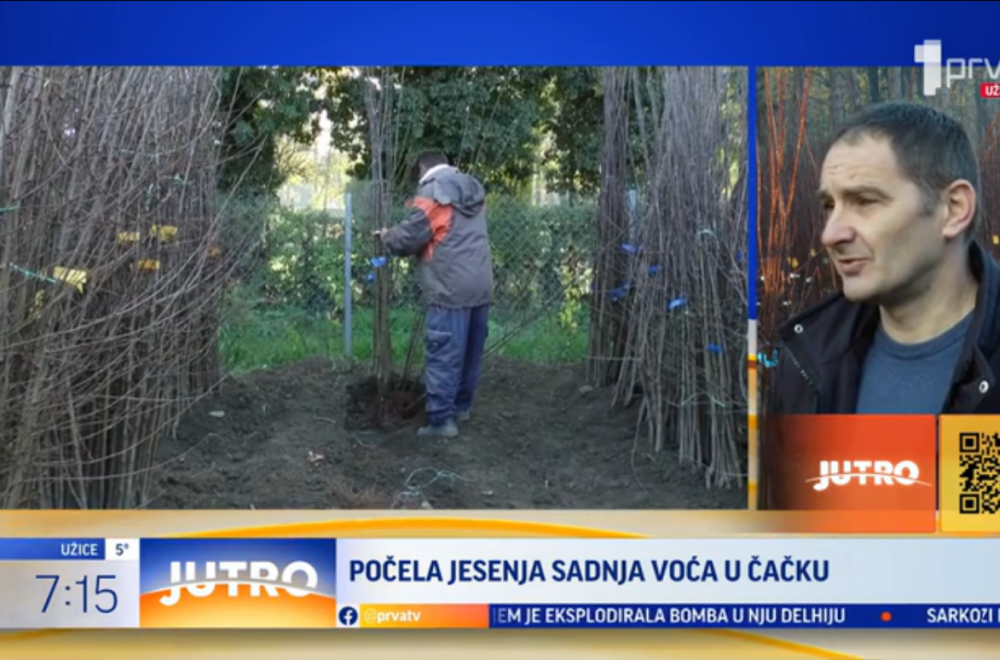 Počela jesenja sadnja voća u čačanskom kraju VIDEO