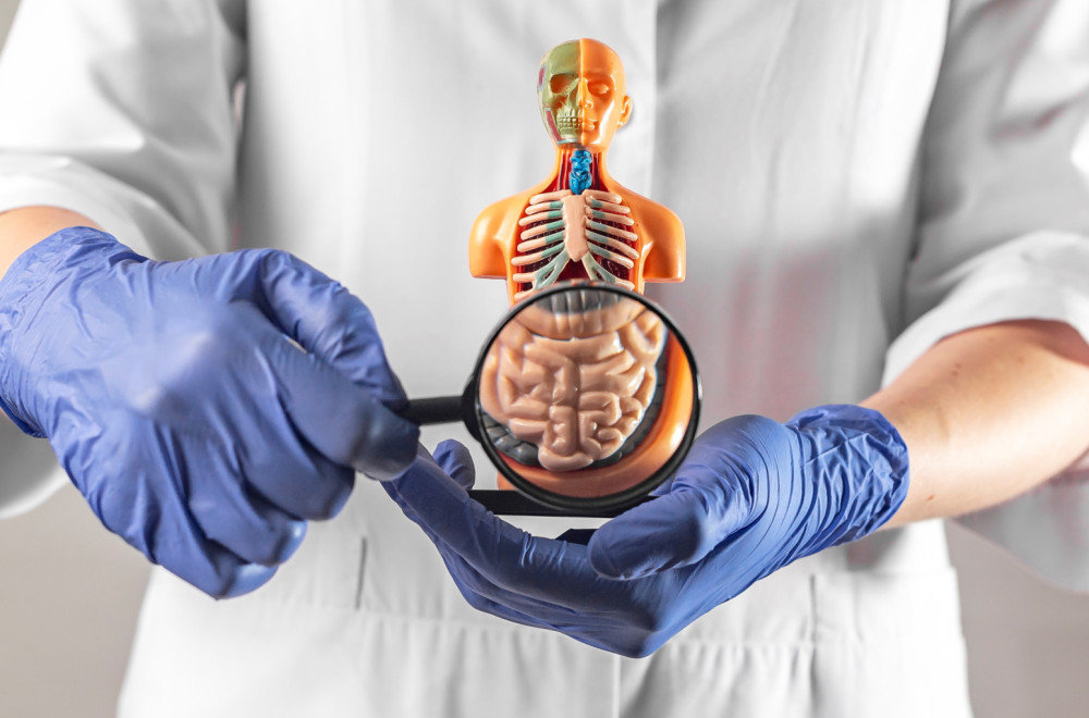 Kako razlikovati činjenice od zablude kod bolesti creva