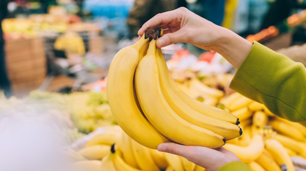 Banane će možda zauvek nestati? Opasna gljivica uništava plantaže