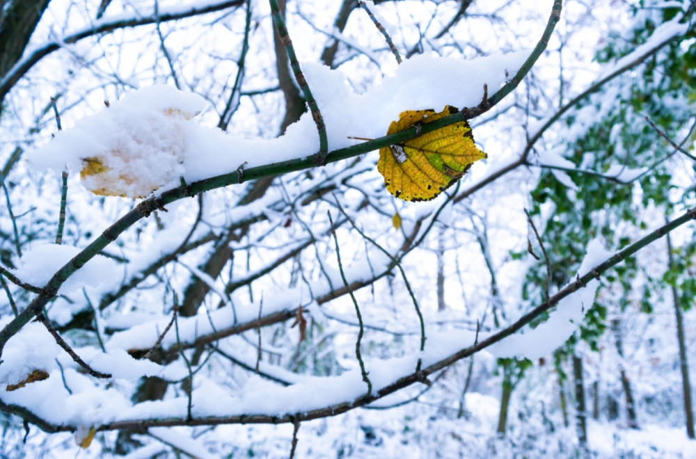 Čeka nas neverovatan preokret: Posle +20 slede temperature tek nešto iznad nule – padaće i sneg