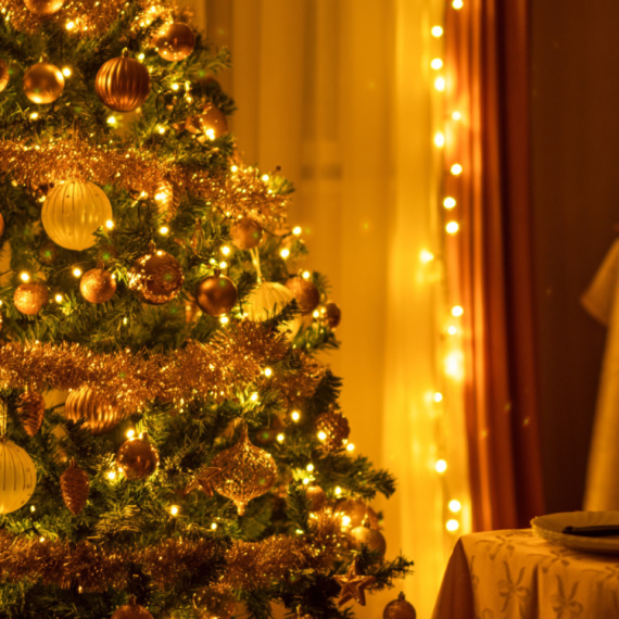 Danska najveći svetski izvoznik božićnih jelki: Prihodovali 160 miliona evra