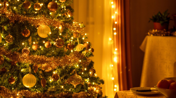 Danska najveći svetski izvoznik božićnih jelki: Prihodovali 160 miliona evra