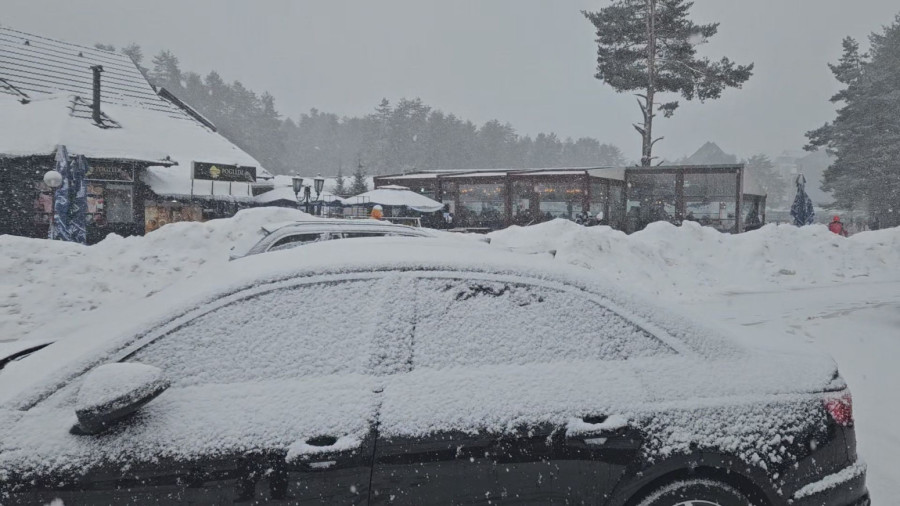 Preko 20 centimetara snega na Zlatiboru, u Užicu lomio grane i stabla FOTO