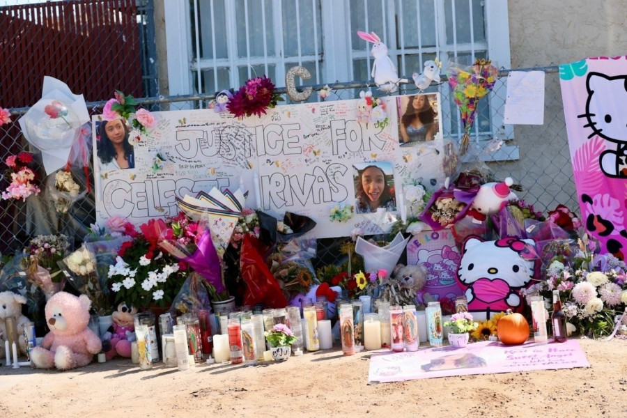 Poznati pevač osumnjičen za smrt maloletnice: Raskomadano telo pronašli u njegovom autu