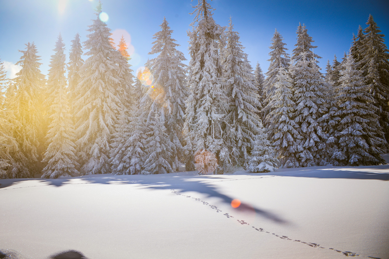 Ova planina u Srbiji je neotkriveni raj na zemlji: Zimi je kao iz bajke, a može i da se skija FOTO