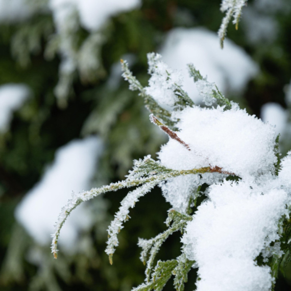 Pao sneg u Beogradu VIDEO