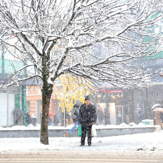 Pao sneg u Novom Sadu VIDEO