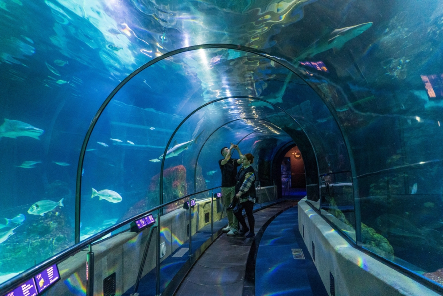 Od plovidbe kruzerom, preko Grčke do safarija u Africi: Porodični odmor za pamćenje FOTO