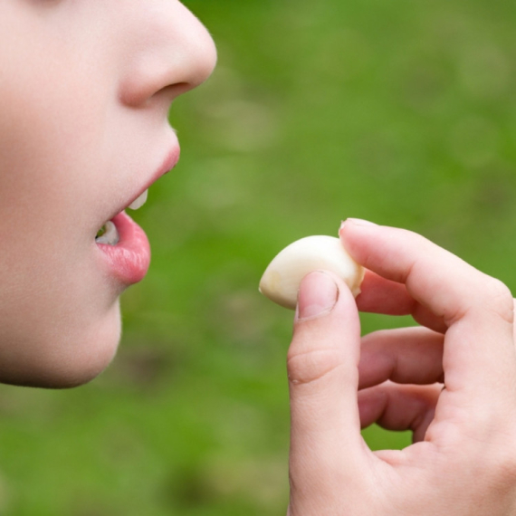 Da li je beli luk zaista dobar za vaše zdravlje? FOTO/VIDEO