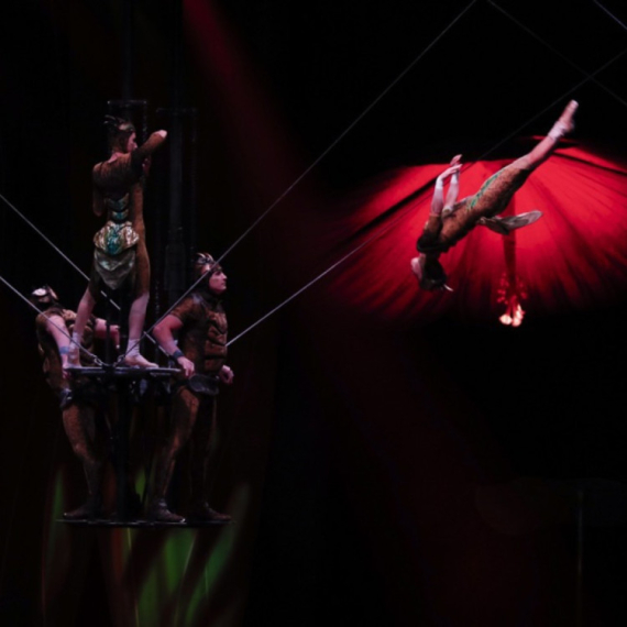 Black Friday ponuda: 20% popusta na ulaznice za Cirque du Soleil za predstavu "OVO"