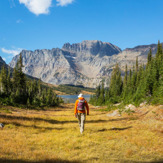 Amerika "udara" turistima po džepu: Ulaz će se naplaćivati 100 dolara