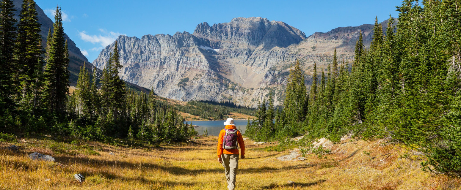 Amerika "udara" turistima po džepu: Ulaz će se naplaćivati 100 dolara