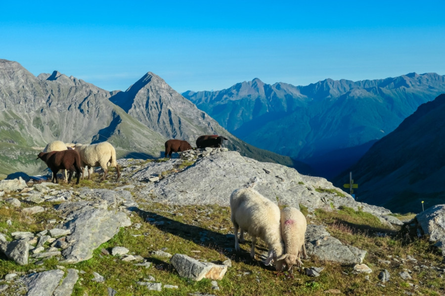 Osetite magiju Alpa: Mel­taler Glečer je skijalište iz snova, kao na vrhu sveta FOTO