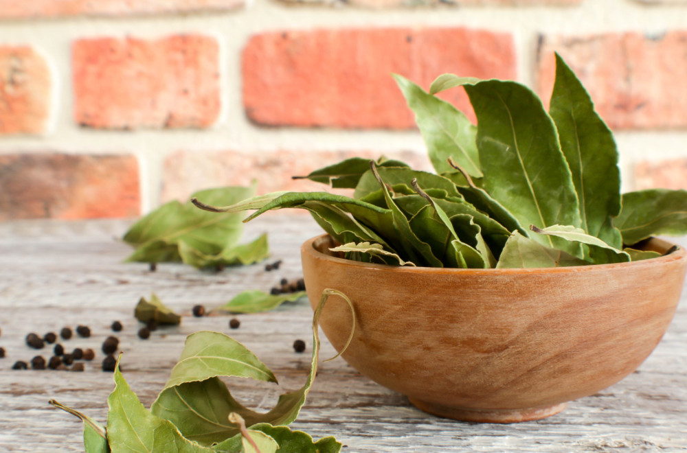Zdraviji je nego što deluje: Hrana i lek, ali za njih može biti otrovan
