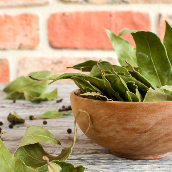 Zdraviji je nego što deluje: Hrana i lek, ali za njih može biti otrovan