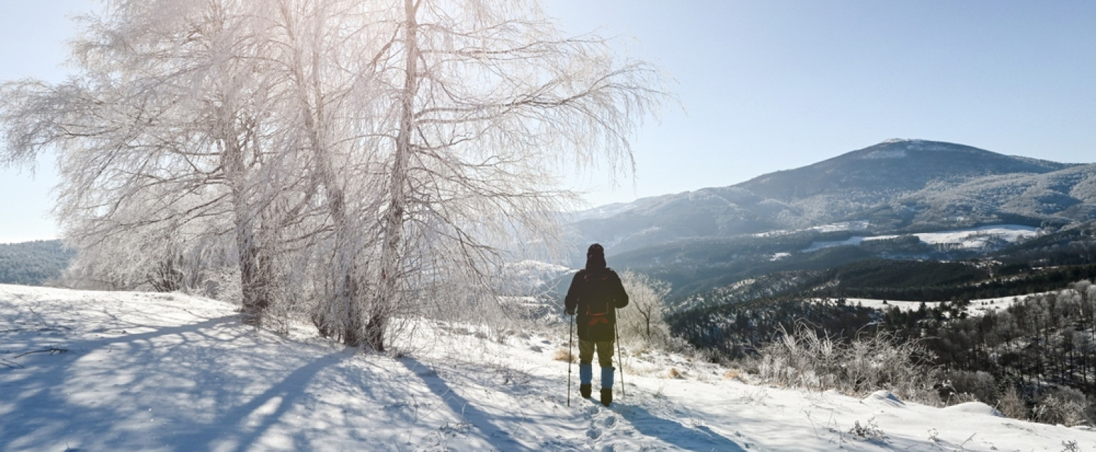 Najsnežniji kraj istočne Srbije: Ovde sneg napada kao na Kopaoniku, a vikend košta manje od goriva