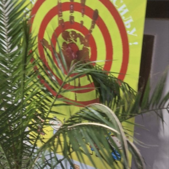 Sramota: U Sečnju krvave šake dočekale birački odbor i prve glasače