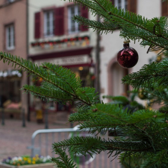 Mnogi se sprdaju s ovim hrvatskim gradom: Društvene mreže "gore" VIDEO
